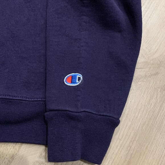 Champion Stonehill College Skyhawks Hoodie Men's Medium M Purple Y2K Sweatshirt - Picture 4 of 8